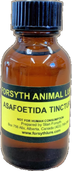 Asafoetida Tincture