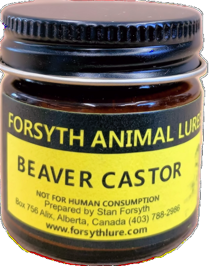 Beaver Castor