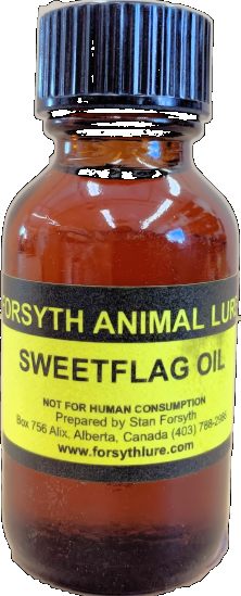 Sweet Flag Oil