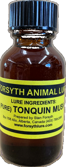 Tonquin Musk